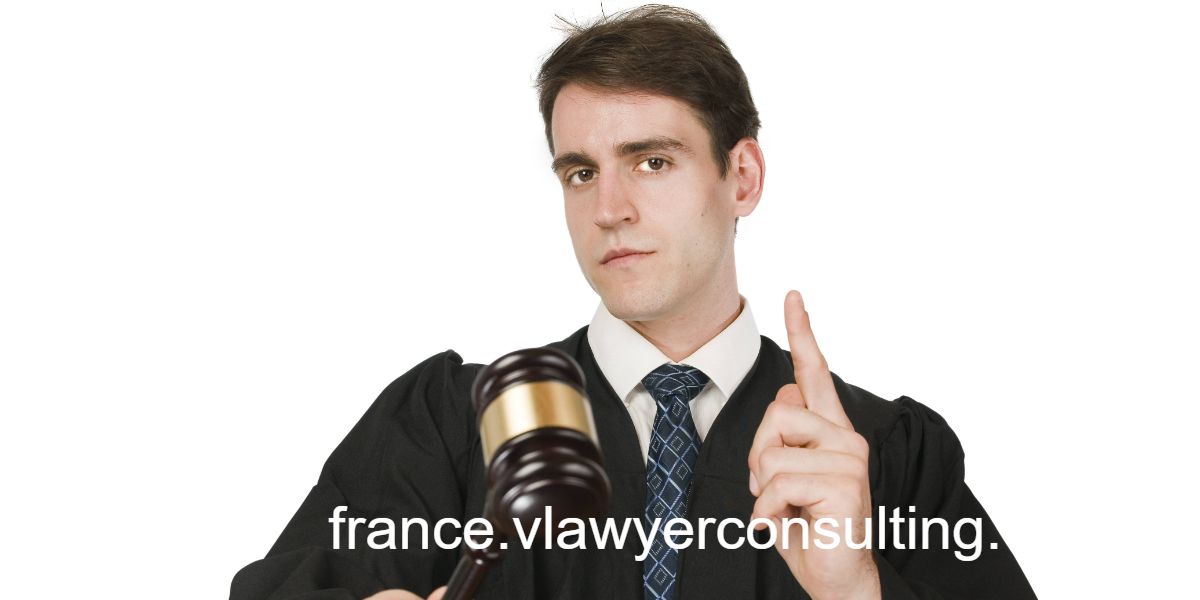 france.vlawyerconsulting.com